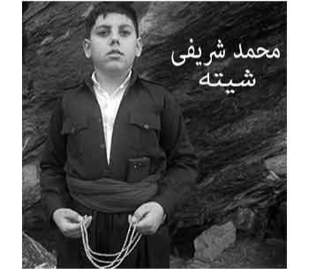 محمد شریفی شیته